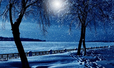 Winter's Moonlit Embrace: Serene Snowfall Over a Frozen Landscape