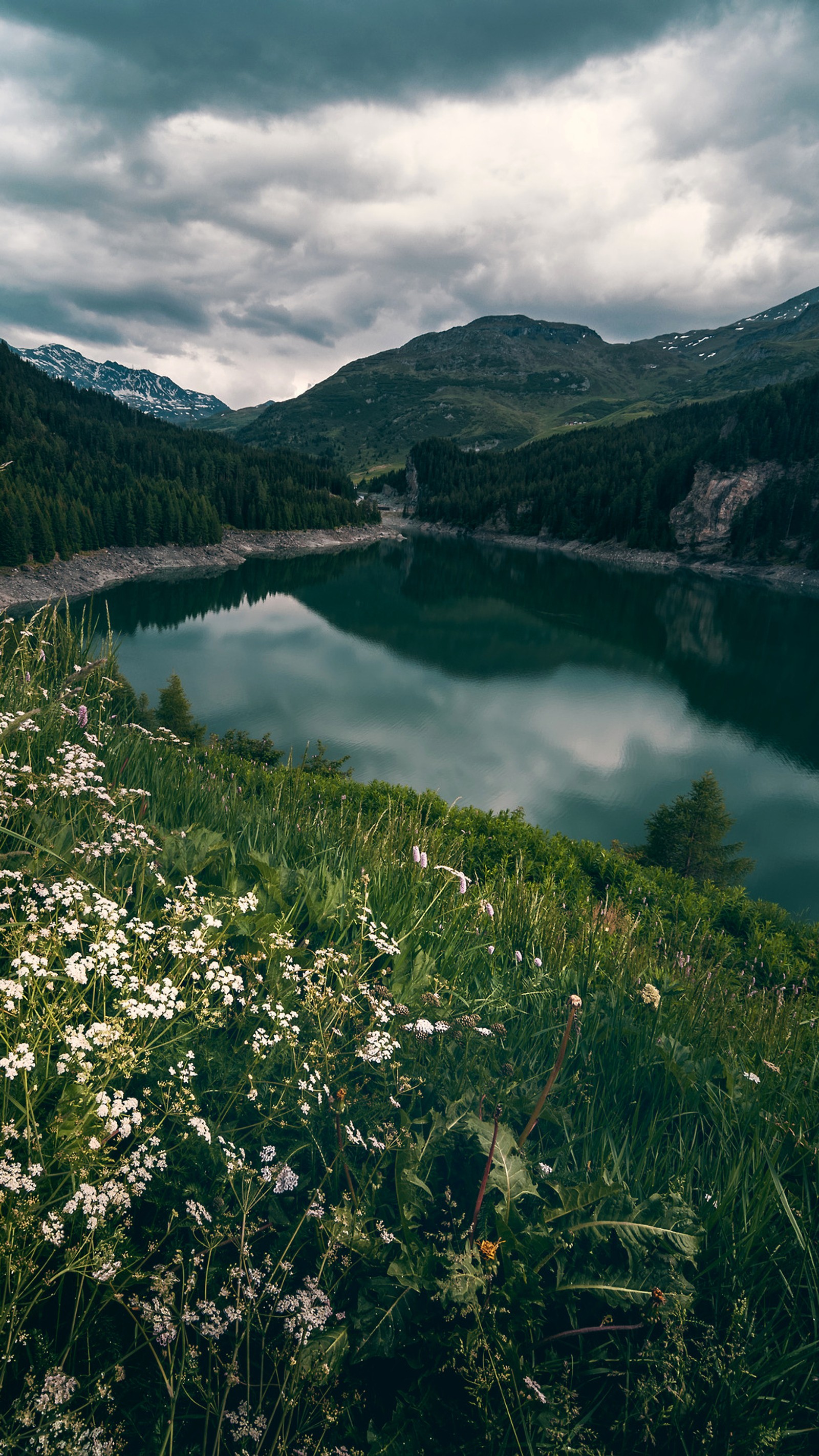 There is a lake surrounded by green grass and white flowers (nature, cloud, water, plant, flower)