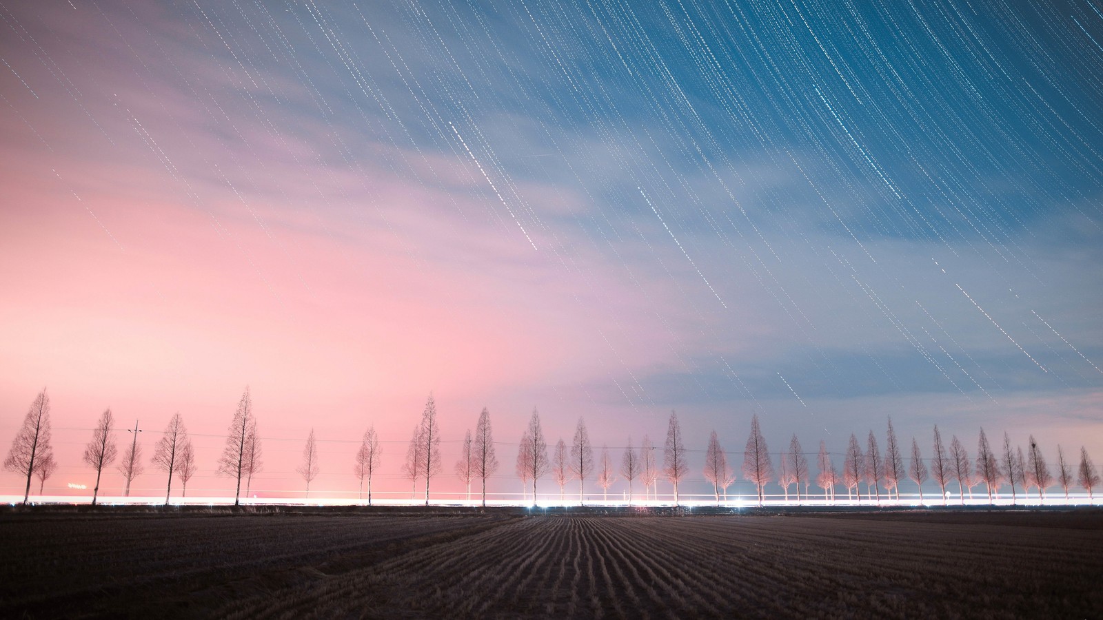 Una vista de un campo con algunos árboles y un cielo estrellado (cielo, noche, estrellas, escenario)