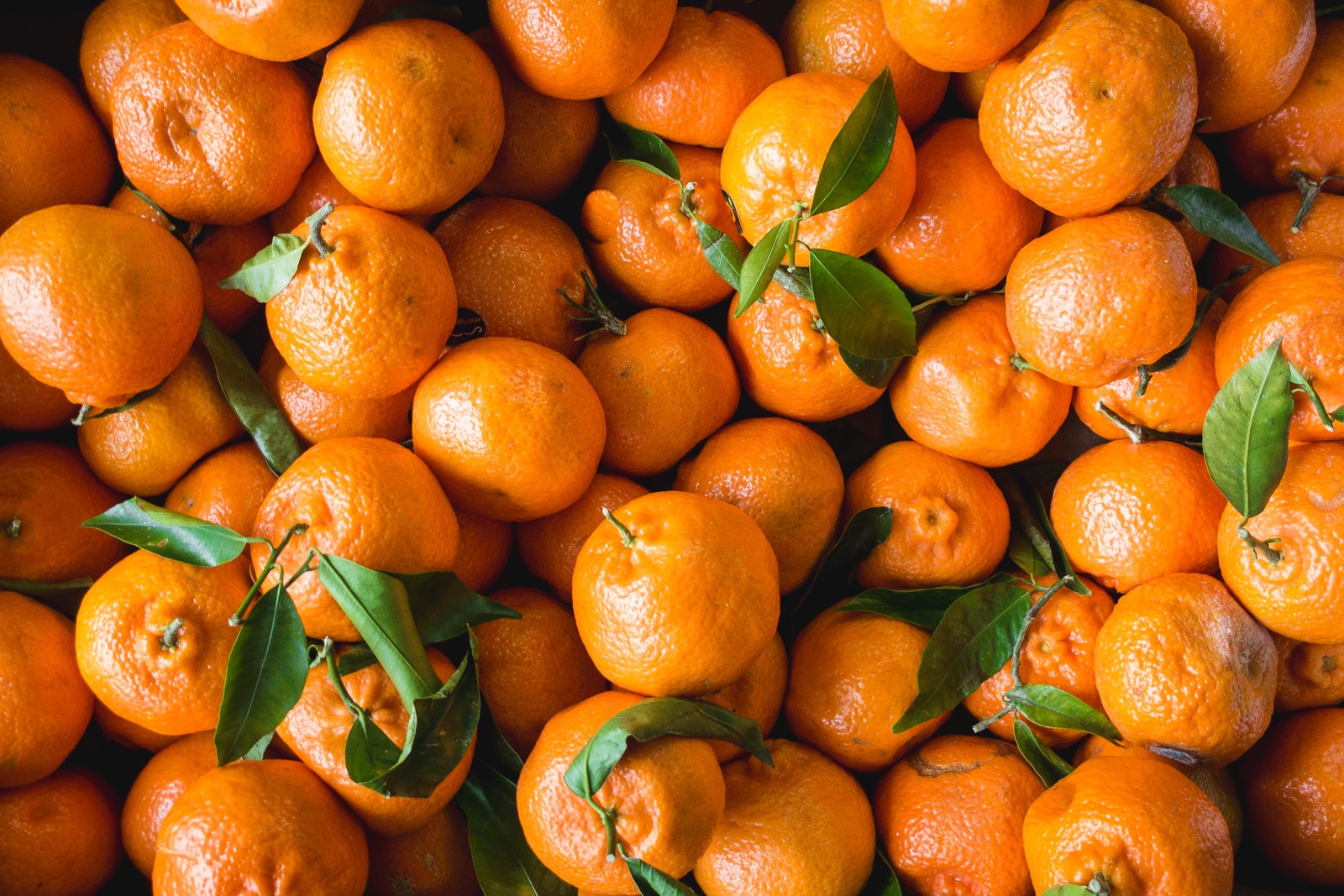 Gros plan d'une pile d'oranges avec des feuilles dessus (mandarine, orange, fruit, clémentine, aliments naturels)