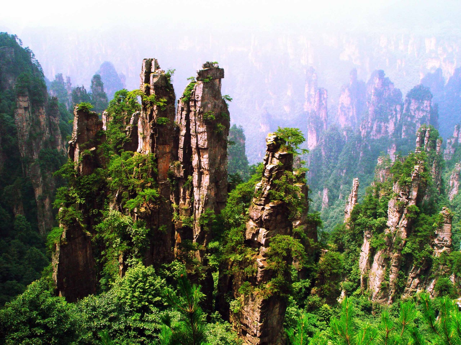 Um close de uma montanha com um monte de rochas altas (parque nacional, montanha tianmen, vegetação, reserva natural, rocha)