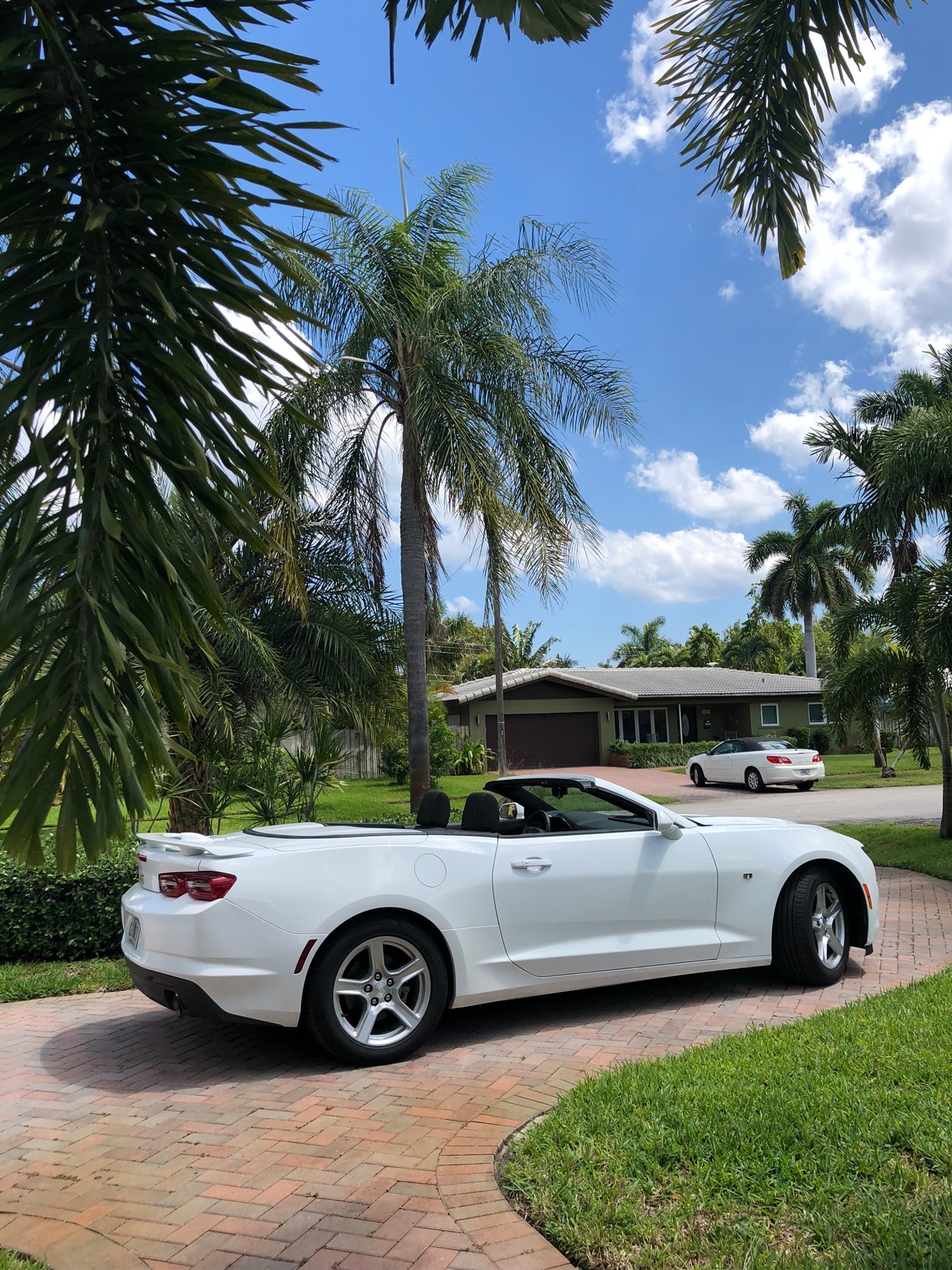 Un coche deportivo blanco estacionado frente a una casa con palmeras (chevrolet camaro, chevrolet, miami, convertible, rey)