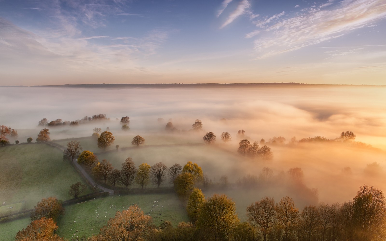 Lade natur, natürliche landschaft, morgen, nebel, landschaft Hintergrund herunter