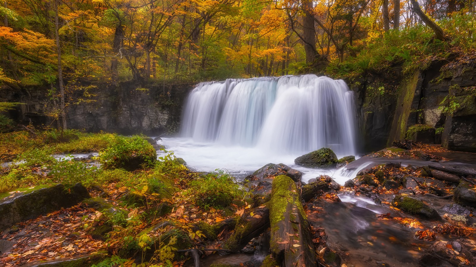 A waterfall in the woods with fall foliage surrounding it (waterfall, watercourse, nature reserve, body of water, nature)