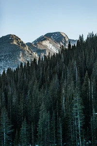 montagne, arbre, paysage naturel, biome, réflexion