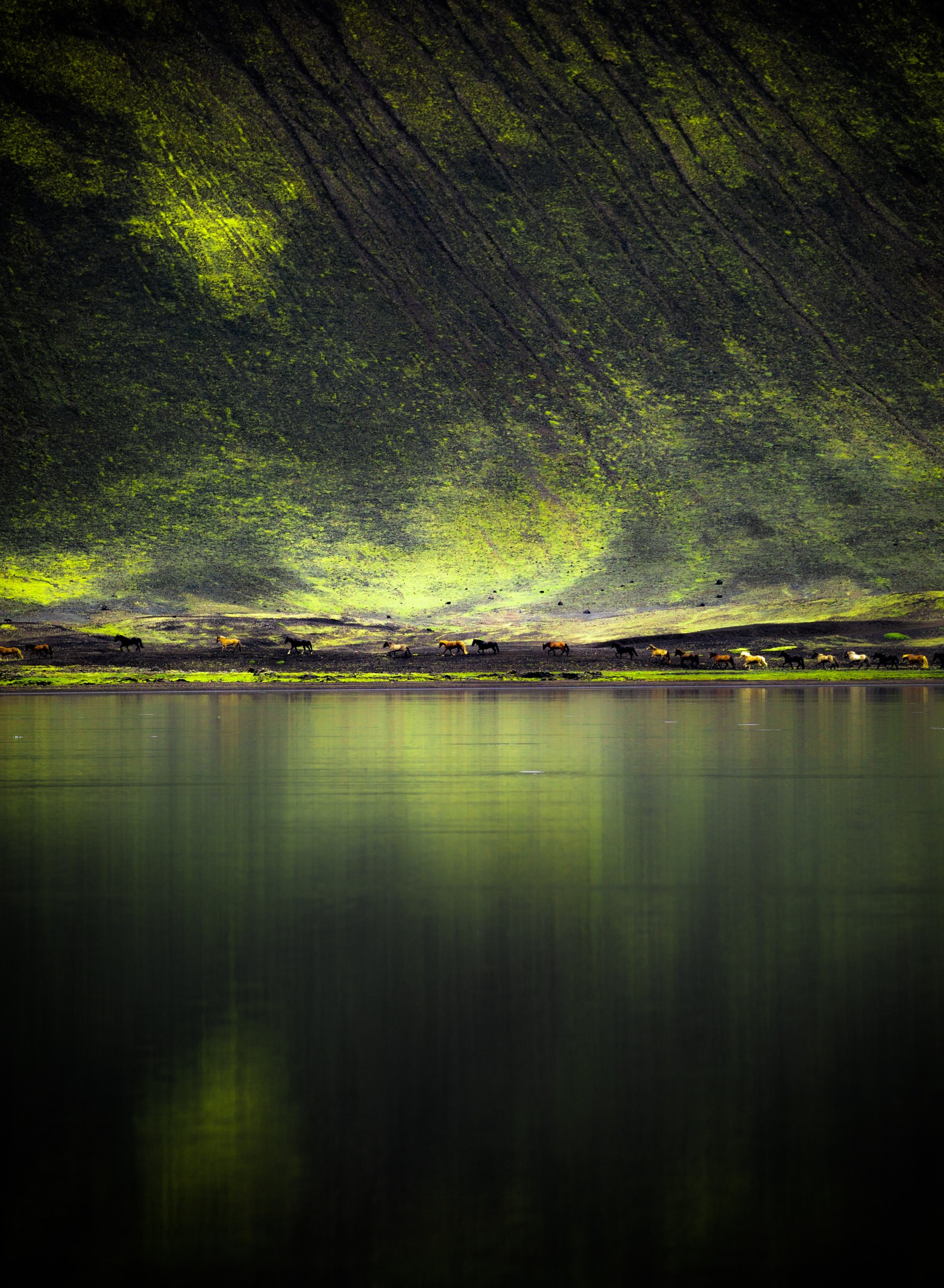 Luftaufnahme eines grünen berges mit einem see und einem einsamen boot (grün, natur, wasser, reflexion, licht)