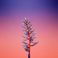 Vibrant Plant Stem with Colorful Leaves Against a Gradient Background