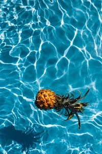 Tropical pineapple floating in electric blue water, showcasing vibrant patterns.