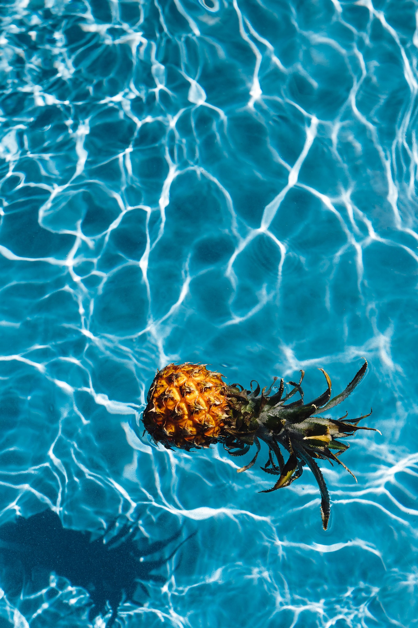 Um abacaxi flutuando em uma piscina (abacaxi, fruta tropical, fruta, água, azul)