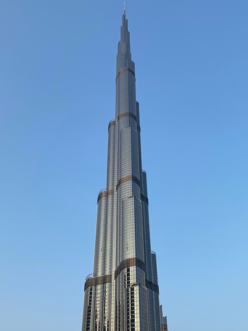 Жирафы перед башней бурдж-халифа в центре города (дубай, dubai, burj khalifa, небоскреб, национальная историческая достопримечательность)