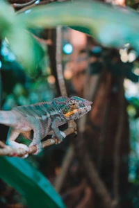 Iguana verde vibrante camuflada entre el follaje exuberante