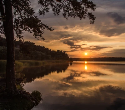 forêt, lac, rayons, réflexion, soleil