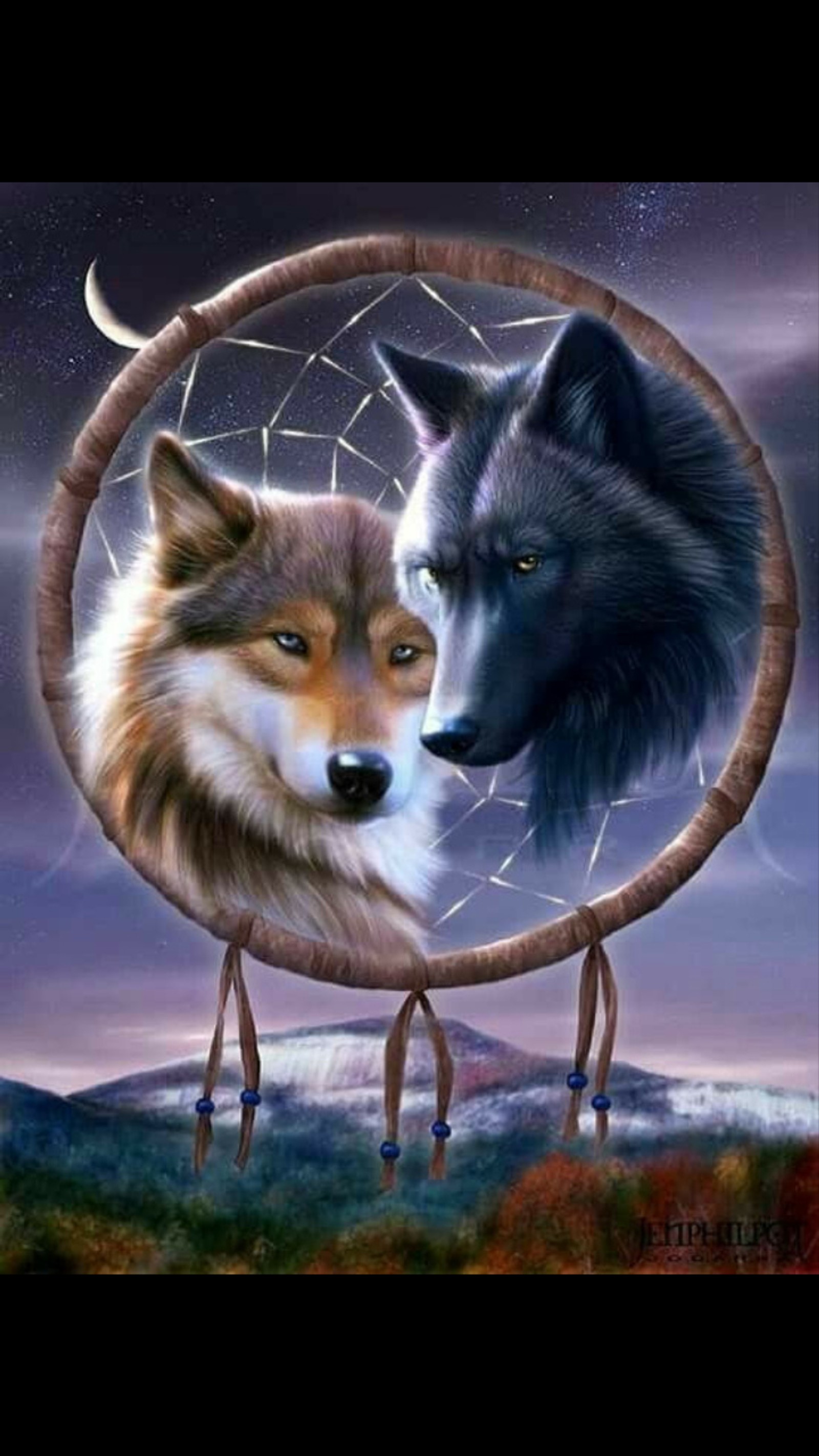 Two wolfs in a dream catcher with a moon in the background (dream catcher, wolves)