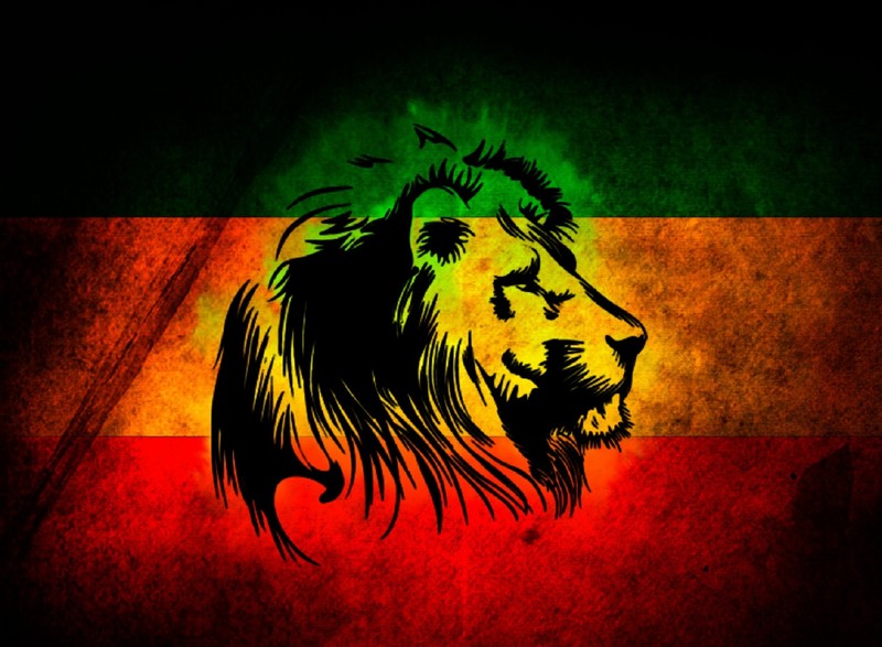 Fondos de pantalla de león reggae rastafari (asombroso, genial, cuba, bandera, verde)