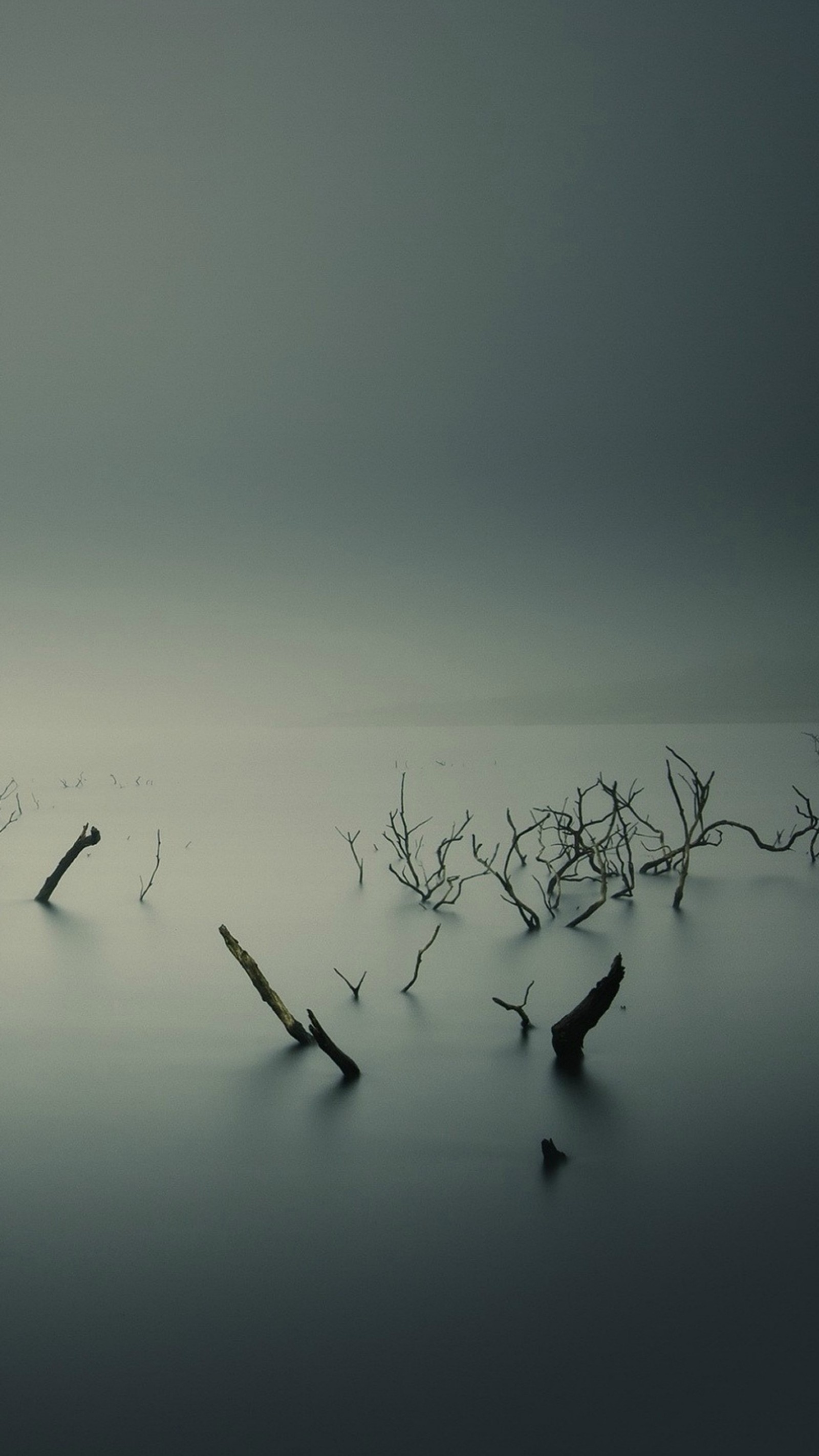 Lade totes holz, landschaft, wasser Hintergrund herunter