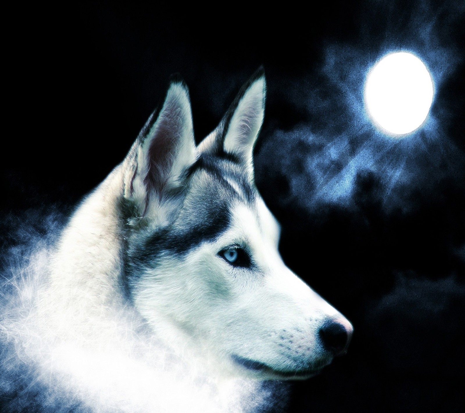 Imagen arabesca de un husky com uma lua cheia ao fundo (hermoso, lobo)