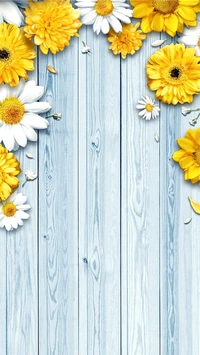 flores, fondo, girasol, hd, naturaleza