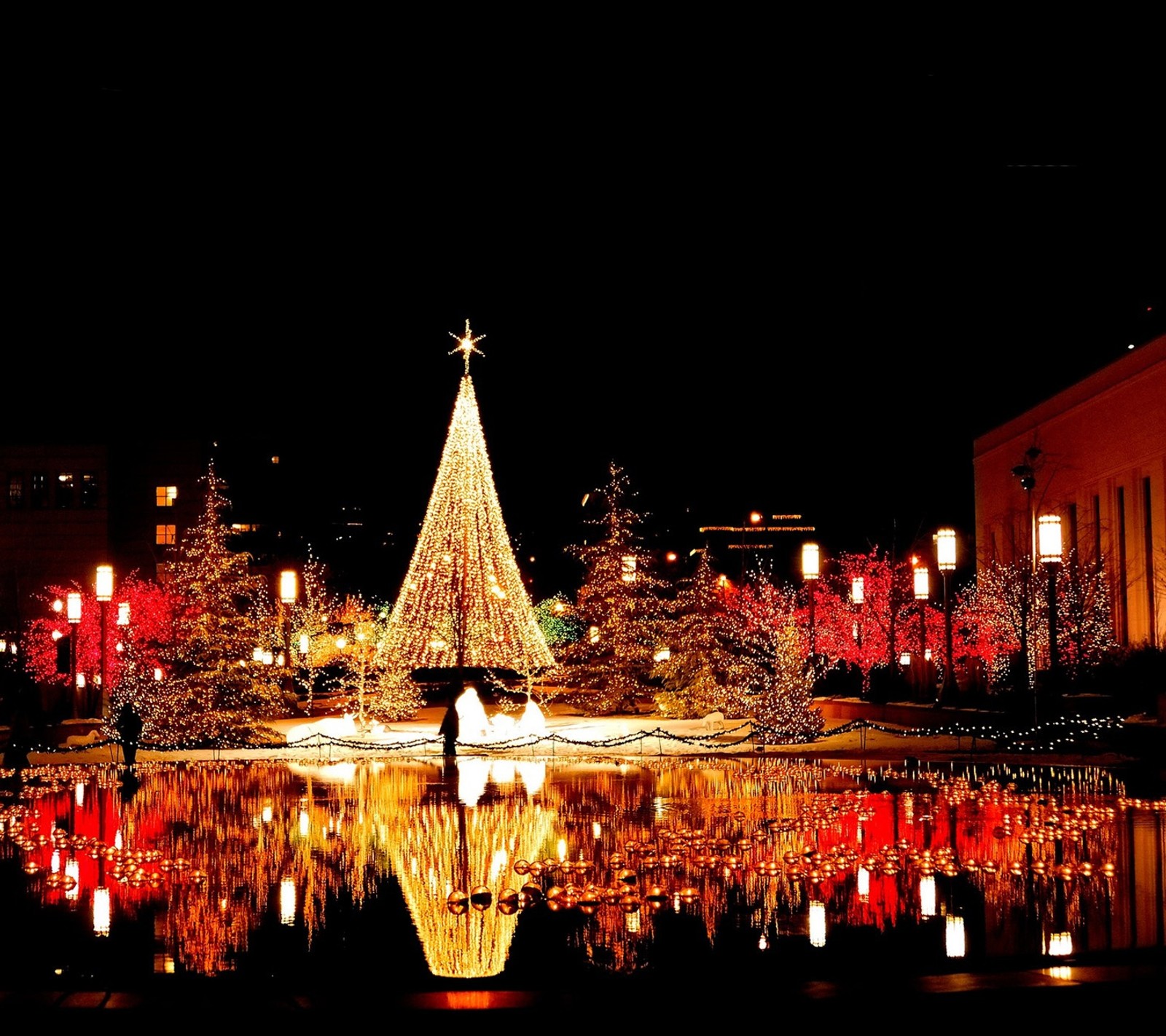 Un árbol de navidad en un estanque con luces y una persona sosteniendo un paraguas (navidad, diciembre, festivo, amor, alegre)