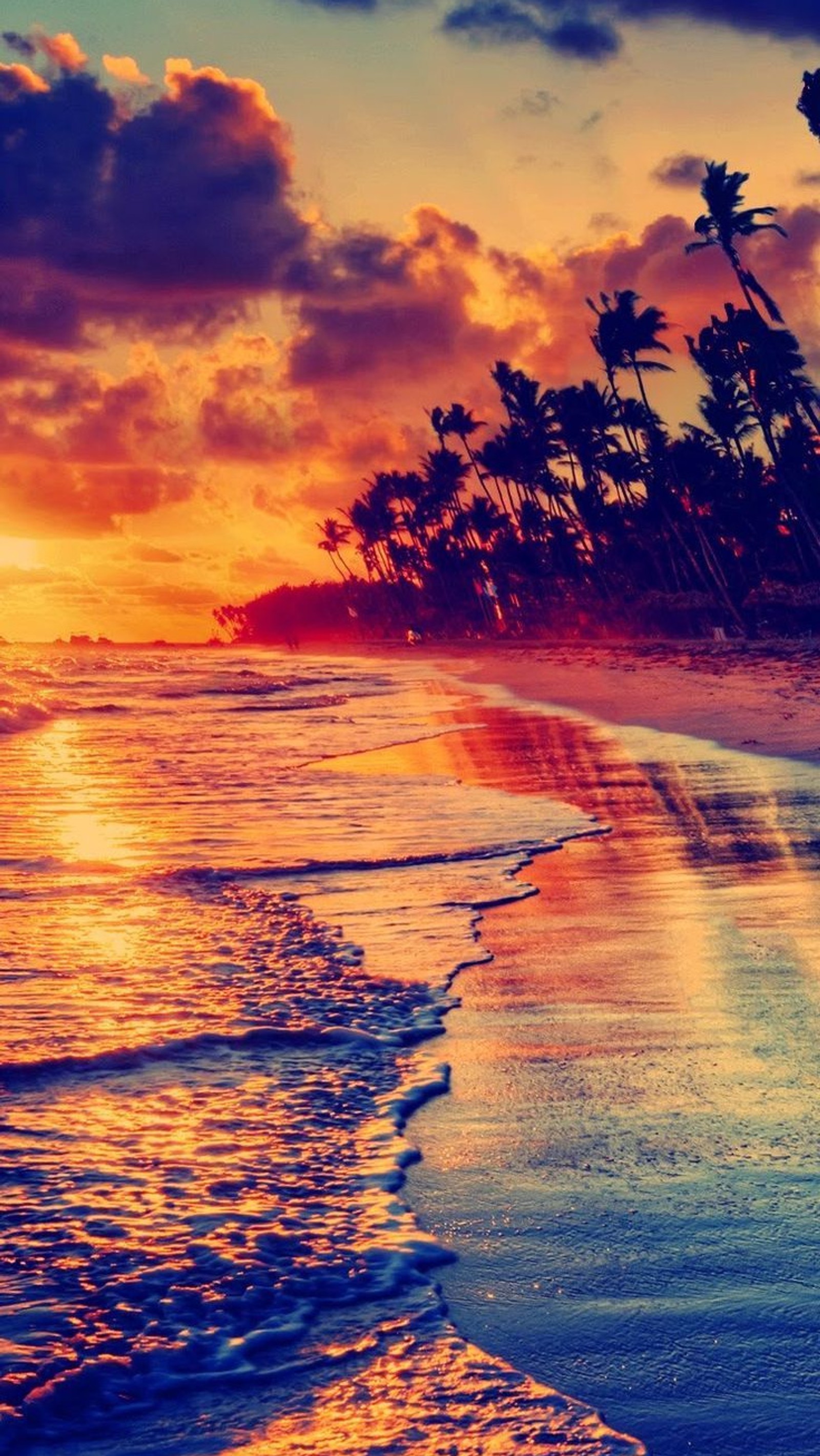 Sunset on the beach with palm trees and waves (beach, beautiful, island, landscape, ocean)