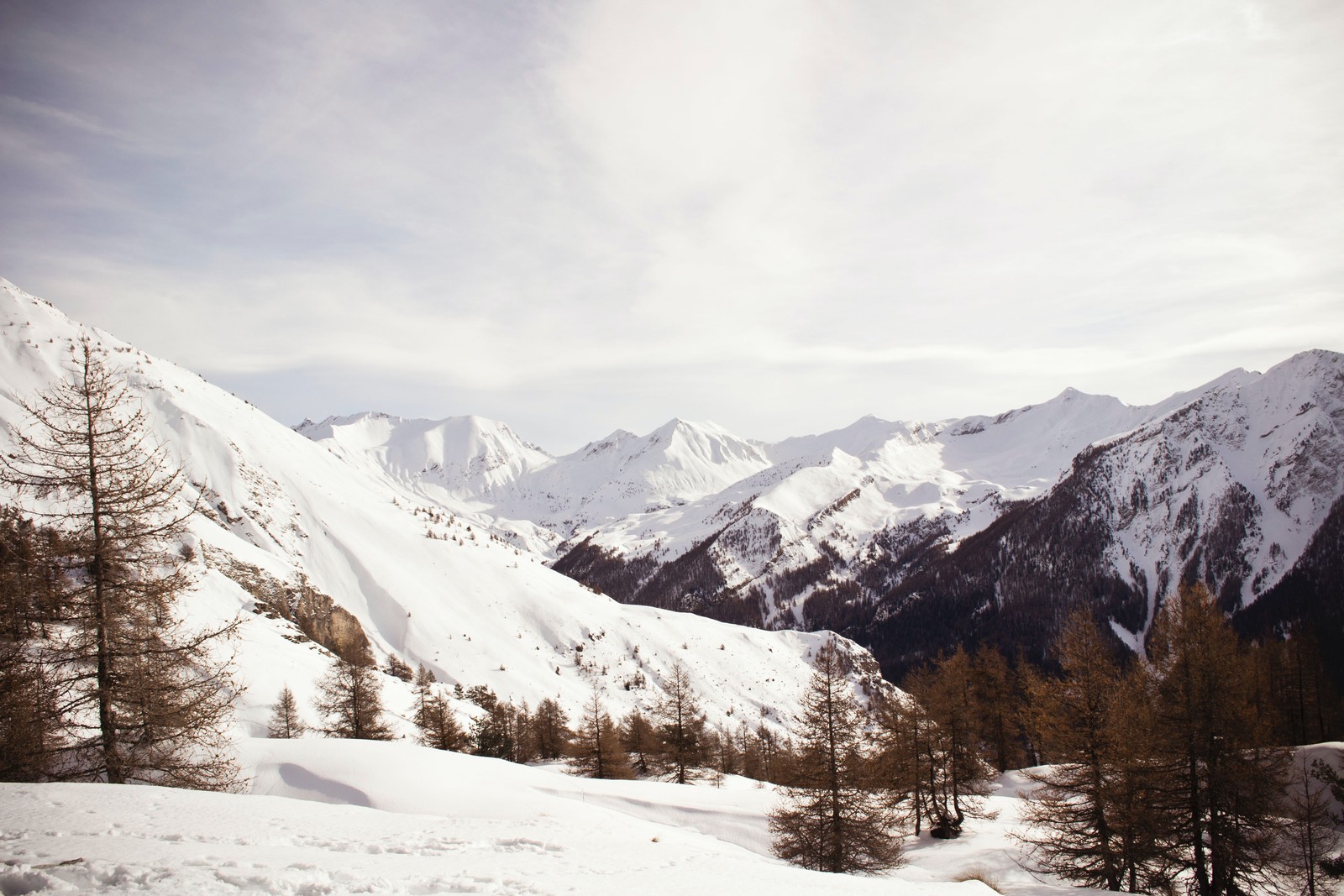 Descargar fondo de pantalla nube, montaña, nieve, pista, planta