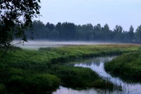 nature, réserve naturelle, ressources en eau, eau, flueve