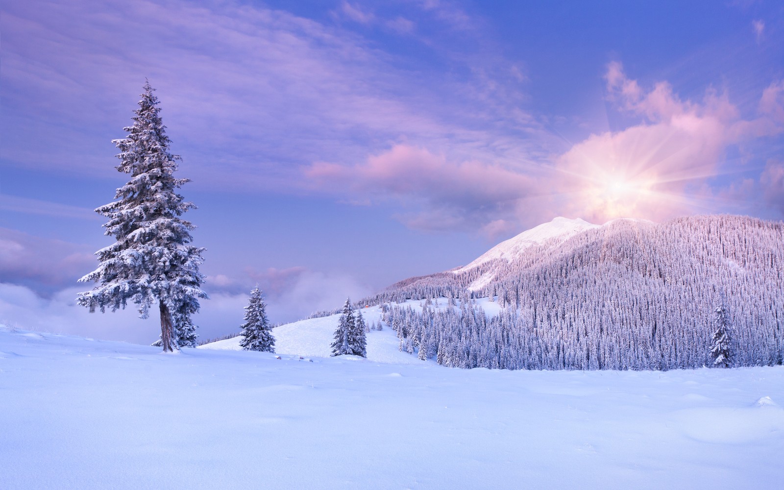 Paisagem montanhosa coberta de neve com árvores e sol no céu (neve, inverno, natureza, árvore, congelamento)