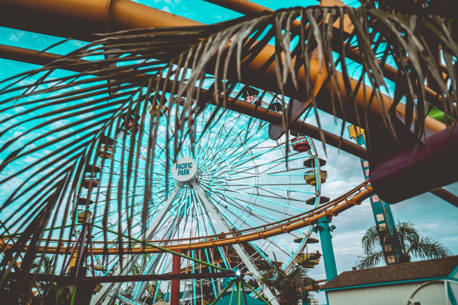 Une grande roue dans un parc avec des palmiers et un ciel bleu (grande roue, parc dattractions, manège, attraction touristique, roue)