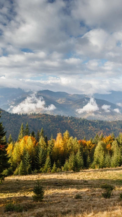 Paysage vibrant des Highlands avec des mélèzes et des montagnes majestueuses sous un ciel nuageux