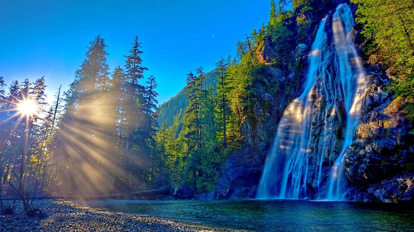 Une cascade au milieu d'une forêt avec le soleil brillant à travers les arbres (la cascade, nature, eau, cours deau, réserve naturelle)