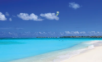 Paradis tropical : plage immaculée et eaux claires sous un ciel ensoleillé