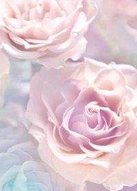 Pastel Pink Floribunda Roses in Soft Watercolor Elegance